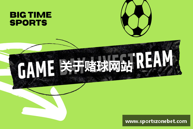 关于赌球网站